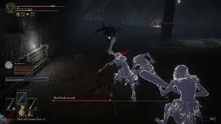 Black knife assassin Boss Fight Elden Ring