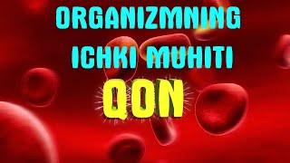 Odam organizmining ichki muhiti || Qon || Limfa || To'qima suyuqligi