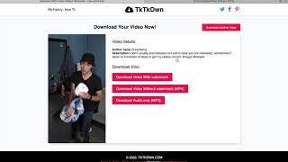 How to download TikTok video Without Watermark on laptop or computer? (2020) - Worked