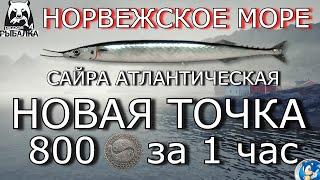 НОРВЕЖСКОЕ МОРЕНОВАЯ ТОЧКА НА САЙРУ АТЛАНТИЧЕСКУЮ 800 СЕРЫ ЗА 1 ЧАСРусская Рыбалка 4(РР4)