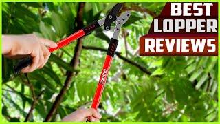 Best Loppers - You Can Buy