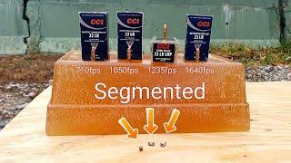 All CCI .22lr Segmented Ballistic Gel Test - Quiet - Subsonic - Mini-Mag - Segmented HP