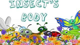 Dr. Jean - Insect's Body - Sing and Learn about Bugs with Dr. Jean