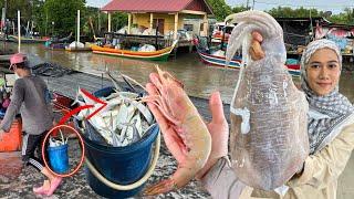 LUBUK IKAN SEGAR BARU NAIK DARI BOT !! UDANG SOTONG BESARR PUAS HATI !