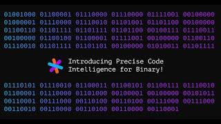 Precise Code Intel for Binary