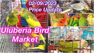 Uluberia Pet Market Uluberia Bird Market 02/9/2023 price update today #cheapestprice #birds