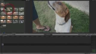 Final Cut Pro X Tutorial Beginners