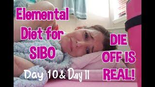 Elemental Diet SIBO Diary Day 10-11| Lisa Monoson