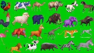 animal running green screen video green screen stamped #animals #greenscreen