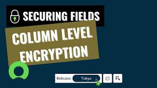 ServiceNow – Securing Fields – 7  Column Level Encryption