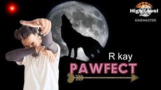 PAWFECT  ( Full Video ) । R kay । New Punjabi song 2024 ।। Tha Harry Music