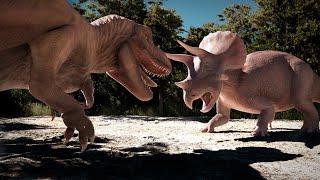 T. rex vs Triceratops (3D Animation)