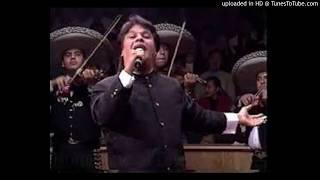 Juan Gabriel - Deja que Salga la Luna - Con Letra