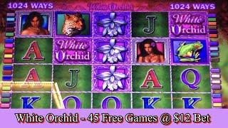 White Orchid Slot Machine - 45 Free Games Bonus + Retriggers @ $12.00 Bet BIG WIN!! 