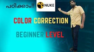 Nuke Basics Color Correction for Beginners (Malayalam Tutorial)