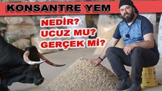 KONSANTRE YEM NEDİR?