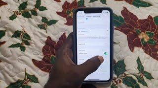 How to Enable or Disable Raise to Wake on iPhone