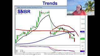 Market reversal or bouncemarket direction August 21, 2023