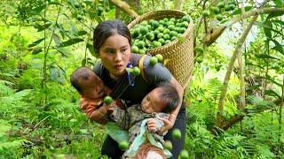 Harvest green lemons and sell them at the market - buy medicine for your sick child with high fever