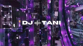 The Way I Like It (Push, A little Harder) - Dj Tani Music Mix 2024 - IN THE MIX, Dance Music Mix