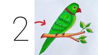 Parrot Drawing|| How to Draw a Parrot|| Easy Bird Drawing