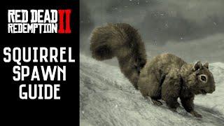 Red Dead Redemption 2 - All Squirrel Locations | American Red, Western Gray & Black (RDR2)