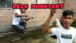 LELE MONSTER PENGHUNI SEPTIC TANK?