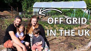 Building an Off Grid Homestead for our Family