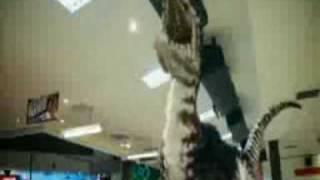 Primeval - Deinonychus - Happy Holiday