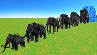 Paint Animals Elephant Woolly Mammoth Size Comparison Fountain Crossing Animal Transformtion Cartoon