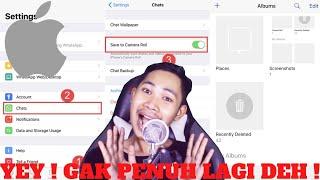 Cara Agar WhatsApp Tidak Download Foto & Video Secara Otomatis Di Iphone !