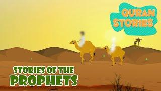 Stories from the Quran | Prophet Stories | Islamic Stories In English | Ramadan Lessons | #prophet
