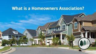 What is an HOA? What is HOA Management? Whats the Difference?