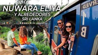 Qué ver en un viaje a Nuwara Eliya y alrededores en Sri Lanka 
