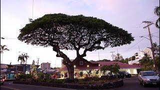 Kailua-Kona, Hawaii - Downtown Kona (2018)