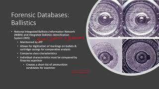 015   Forensic Databases