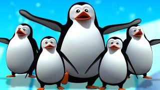 Cinco Pequenos Pinguins | Rima De Berçário Para Crianças | Five Little Penguins | Kids Tv Português