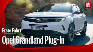 First drive in the Opel Grandland with Jan Horn