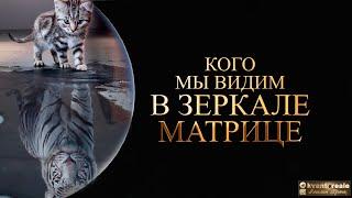 КОГО МЫ ВИДИМ В ЗЕРКАЛЕ МАТРИЦЫ/ WHO DO WE SEE IN THE MIRROR OF THE MATRIX