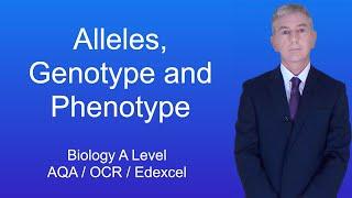 A Level Biology Revision (Year 13) "Alleles, Genotype and Phenotype"