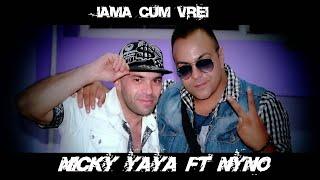 Nicky YaYa si Nyno - Ia-ma cum vrei (by yaya production 2013 )