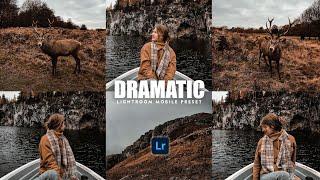 Dramatic - Lightroom Mobile Preset | Dark Preset | Moody Preset | Dark Filter | Dramatic Preset