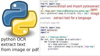 python extract text from image or pdf