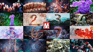 MadMicrobe: 7 Years