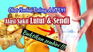 10 Obat Herbal AMPUH Atasi Sakit Lutut Dan Sendi Paling Cepat