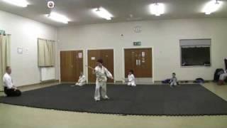 AI-KID-DO 13 jo kata practice