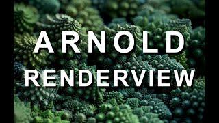 Arnold RenderView in 3dsMax!