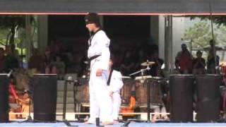 Taekwondo Demonstration 10 : Art Break