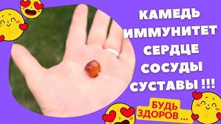 Камедь ЛЕЧИТ !!! Смола с фруктовых деревьев , проверено детством