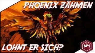 ARK - PHOENIX? WIE MAN IHN FINDET, ZÄHMT UND OB ER SICH LOHNT!